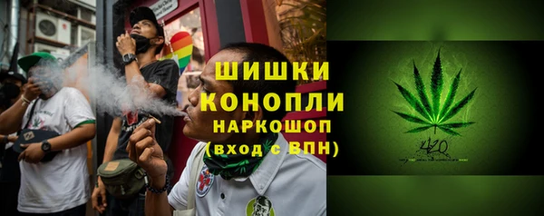 молекула духа Богданович