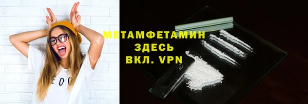 молекула духа Богданович