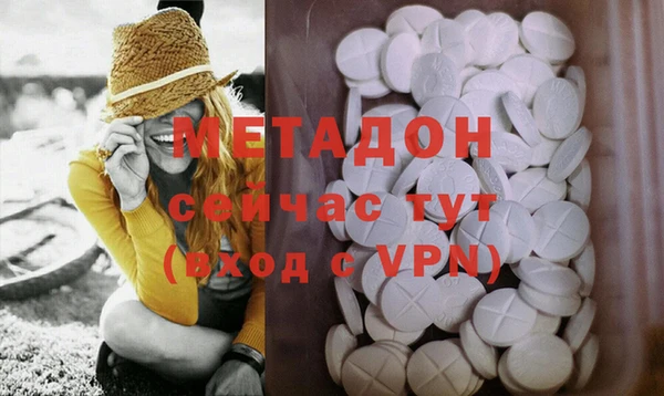 молекула духа Богданович