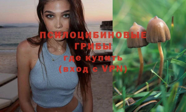 МДМА Бородино