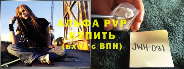 молекула духа Богданович
