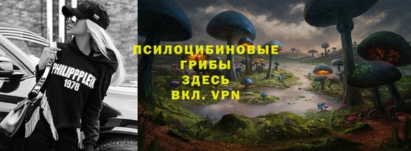 молекула духа Богданович