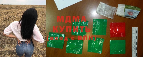 молекула духа Богданович