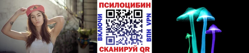 Псилоцибиновые грибы Psilocybine cubensis  Волчанск 